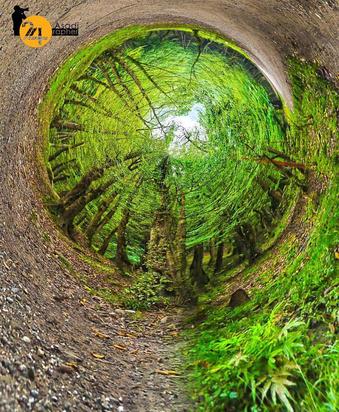 عکاسی طبیعت