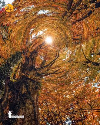 عکاسی طبیعت