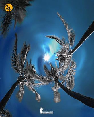 عکاسی طبیعت