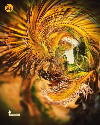 عکاسی طبیعت