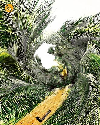 عکاسی طبیعت