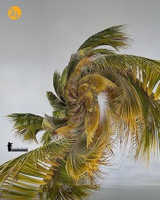 عکاسی طبیعت