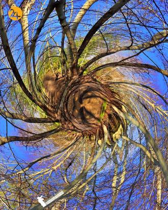 عکاسی طبیعت