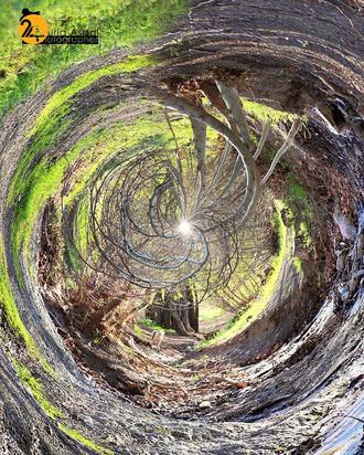 عکاسی طبیعت