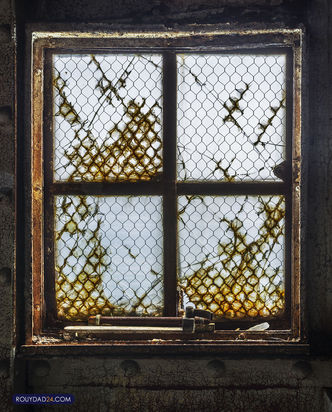 دیده بان جنگ جهانی