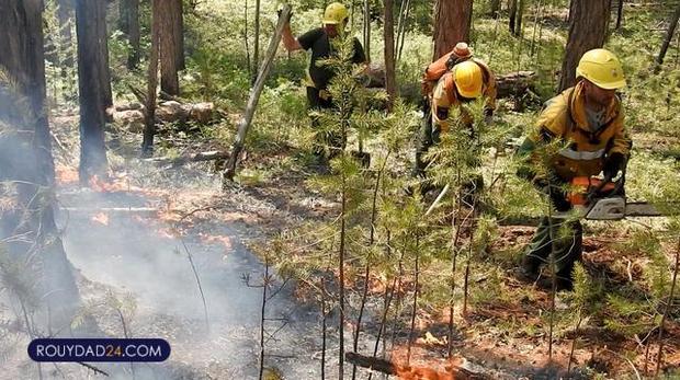 گسترش آتشسوزی در سیبری