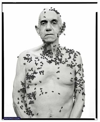 بازآفرینی عکس