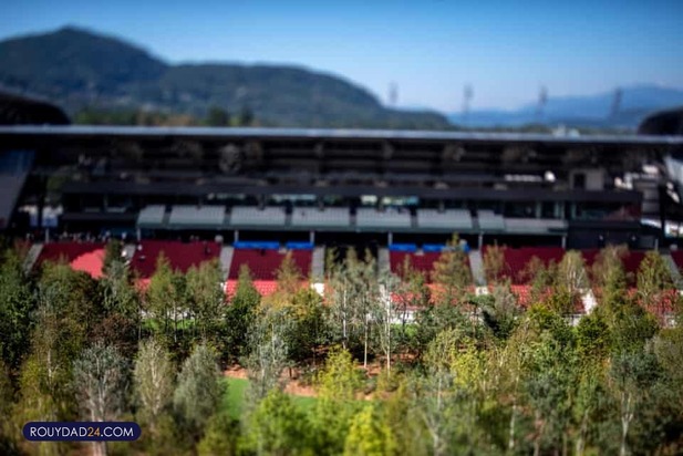 استادیوم جنگلی