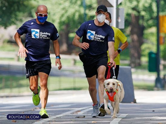 سگهای راهنما