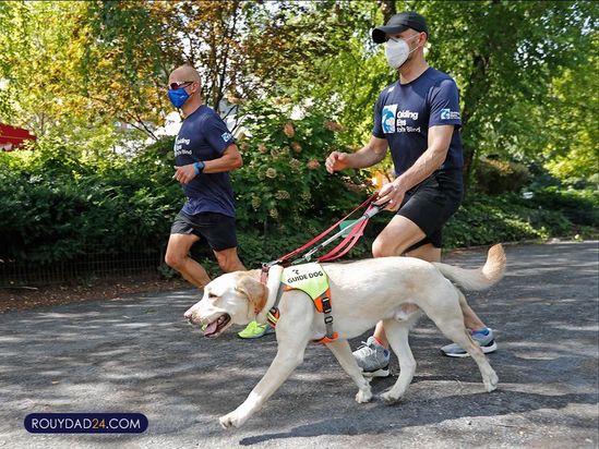 سگهای راهنما