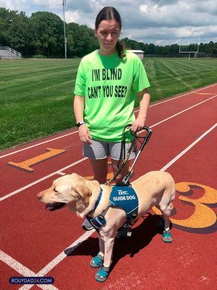 سگهای راهنما