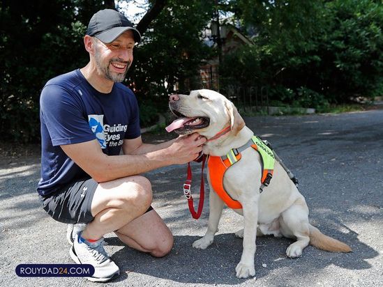 سگهای راهنما