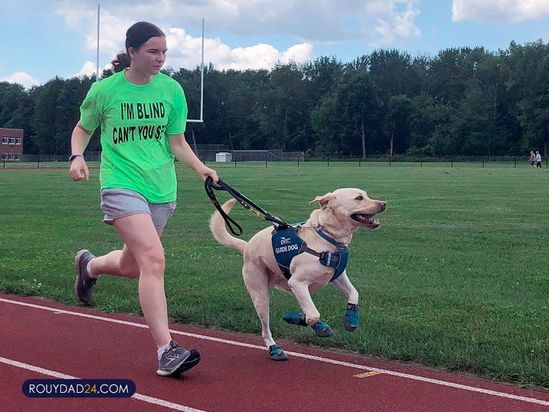 سگهای راهنما