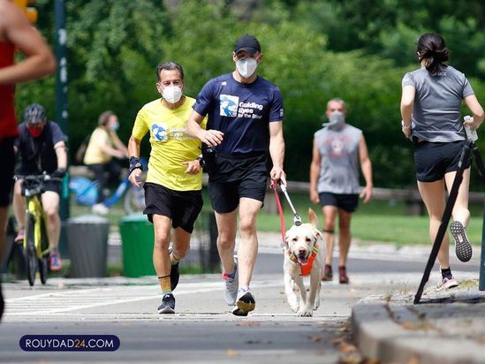 سگهای راهنما