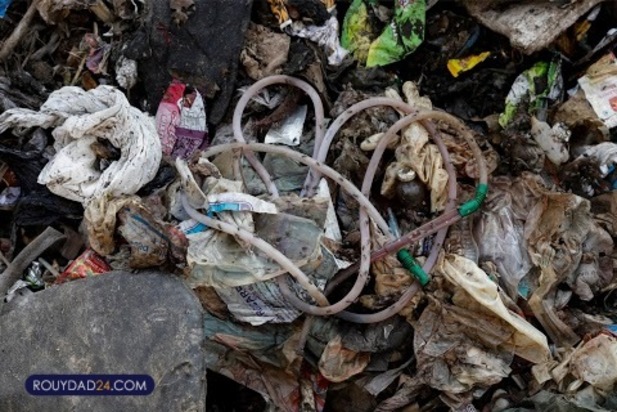 ترس شکم ما را سیر نمی کند