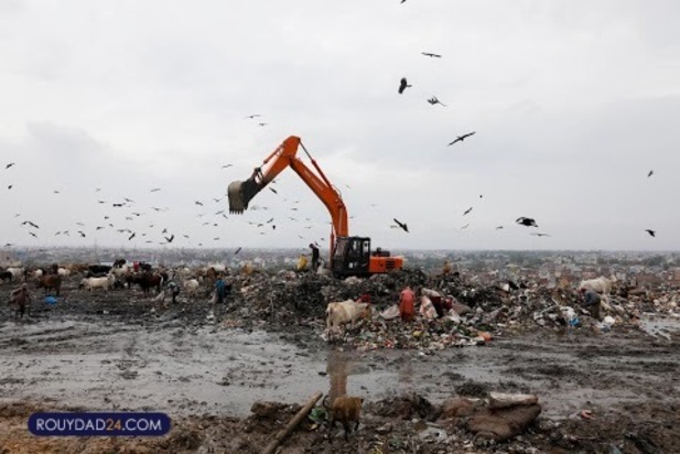 ترس شکم ما را سیر نمی کند