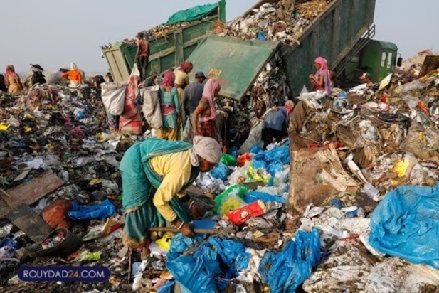 ترس شکم ما را سیر نمی کند