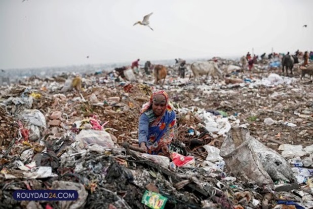 ترس شکم ما را سیر نمی کند