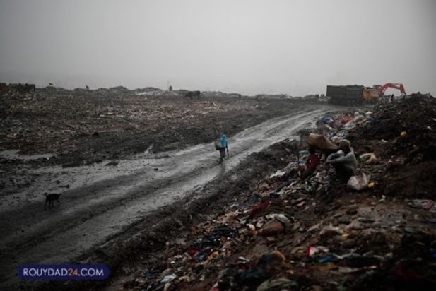 ترس شکم ما را سیر نمی کند