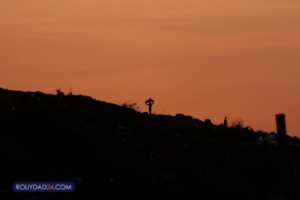 ترس شکم ما را سیر نمی کند