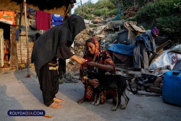 ترس شکم ما را سیر نمی کند