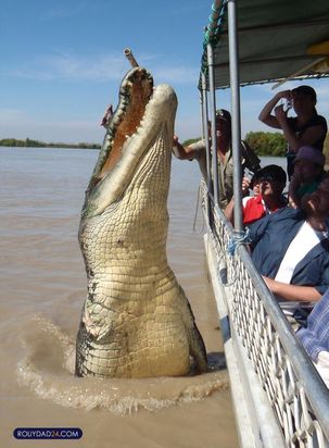 حیوانات بزرگ از عجایب قرن