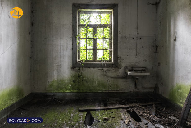 کلیسای قرن 20