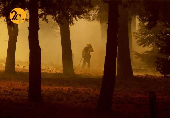 کالیفرنیا در آتش