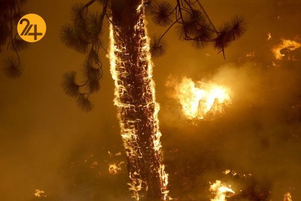 کالیفرنیا در آتش