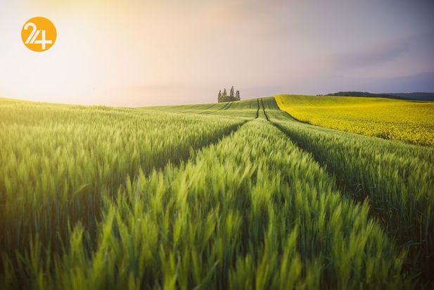 عکاسی چشم انداز