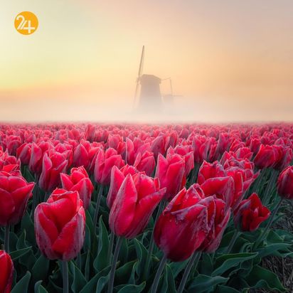 عکاسی چشم انداز