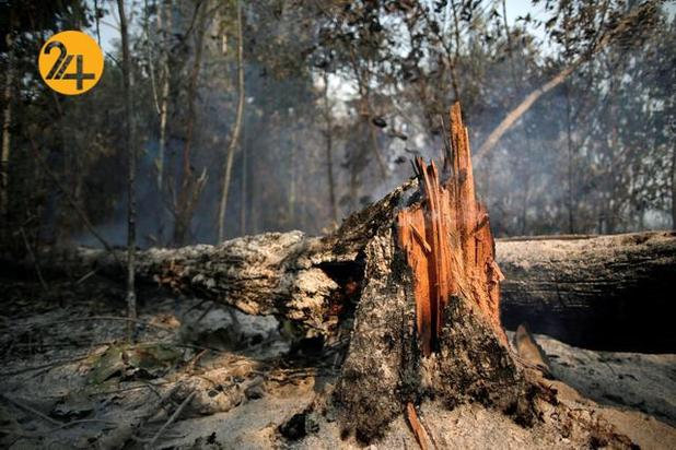 آتشسوزی در آمازون