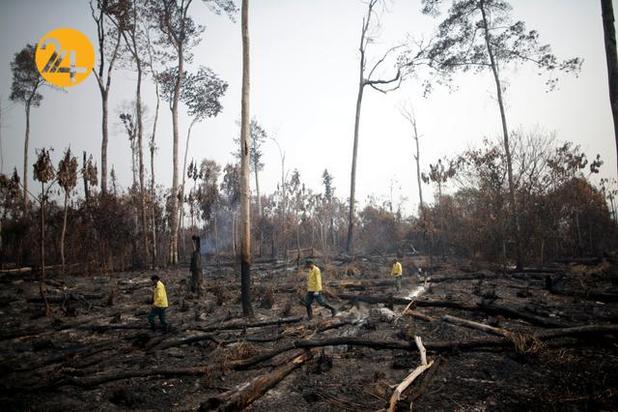 آتشسوزی در آمازون