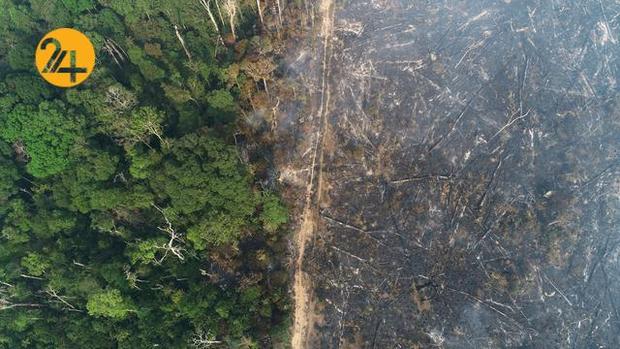 آتشسوزی در آمازون