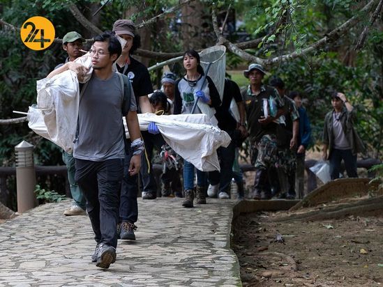 خفاش های نعل اسبی