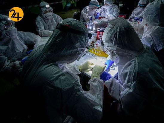 خفاش های نعل اسبی