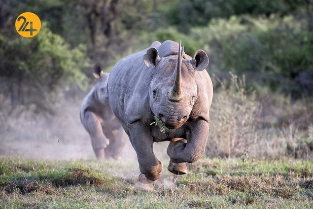 عکاسی در آفریقا