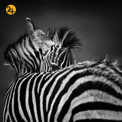 عکاسی در آفریقا