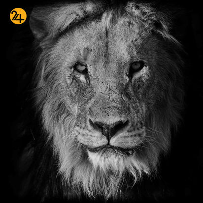 عکاسی در آفریقا