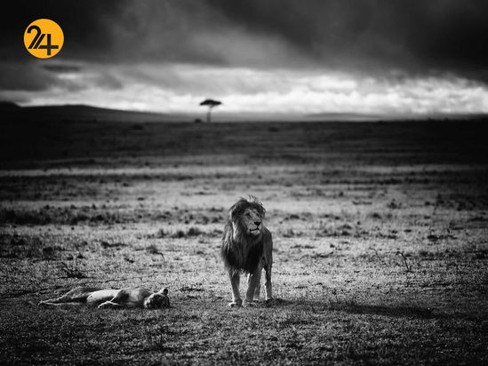 عکاسی در آفریقا