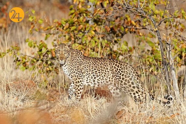 عکاسی در آفریقا