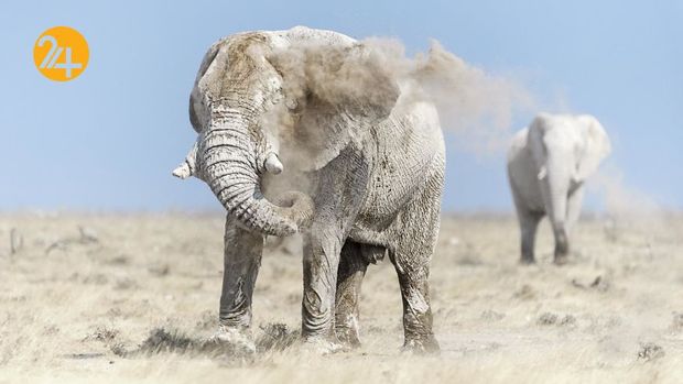 عکاسی در آفریقا