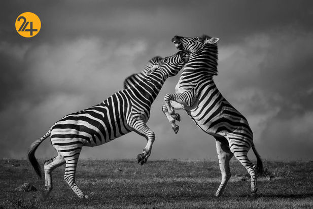 عکاسی در آفریقا