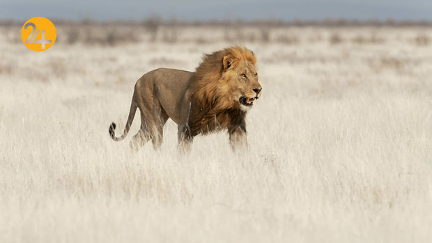 عکاسی در آفریقا