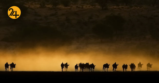 عکاسی در آفریقا