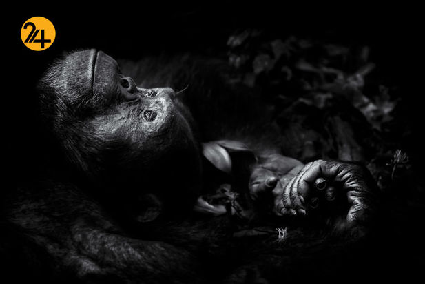 عکاسی در آفریقا