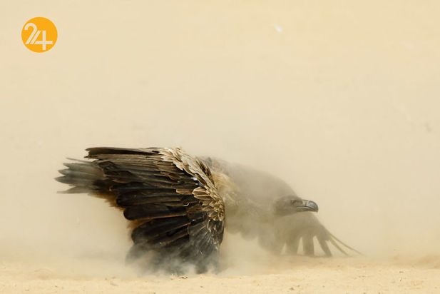 عکاسی در آفریقا