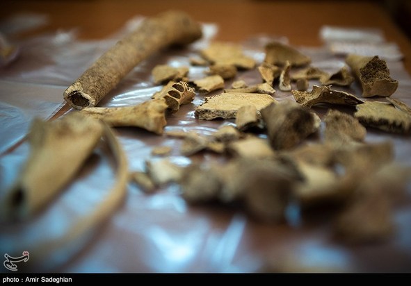 کشف اسکلت انسانی در تخت جمشید