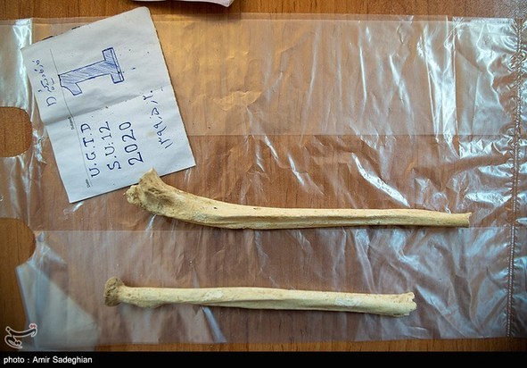 کشف اسکلت انسانی در تخت جمشید