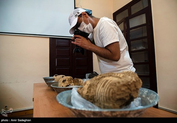 کشف اسکلت انسانی در تخت جمشید